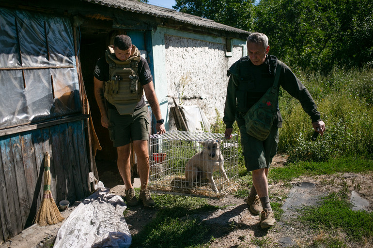Евакуація тварин