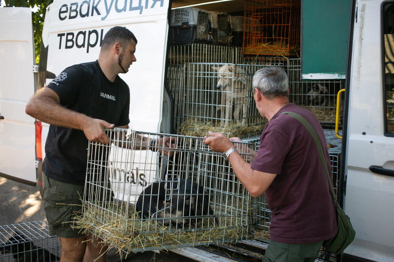 Евакуація тварин із прифронтових територій