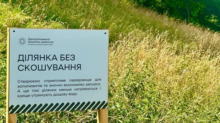 У 2026 році влада Києва вирішила не чіпати траву на 119 різних ділянках