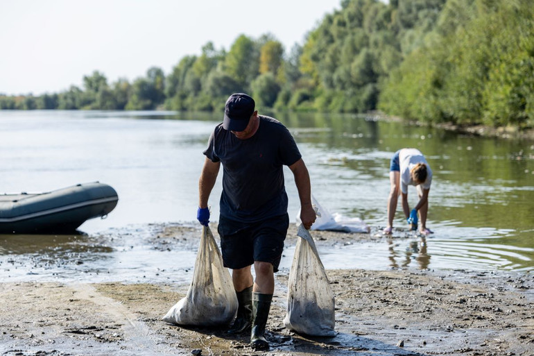 Місцеві збирають мертву рибу з Десни