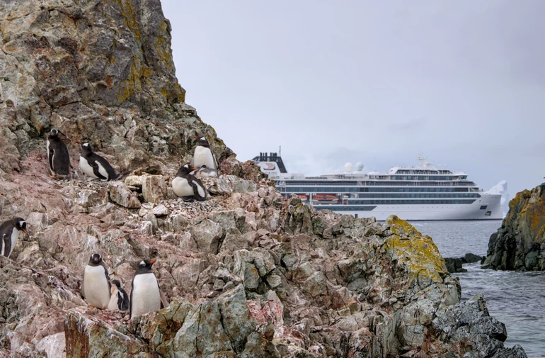 Світлина отримала третє місце в номінації Загальна категорія