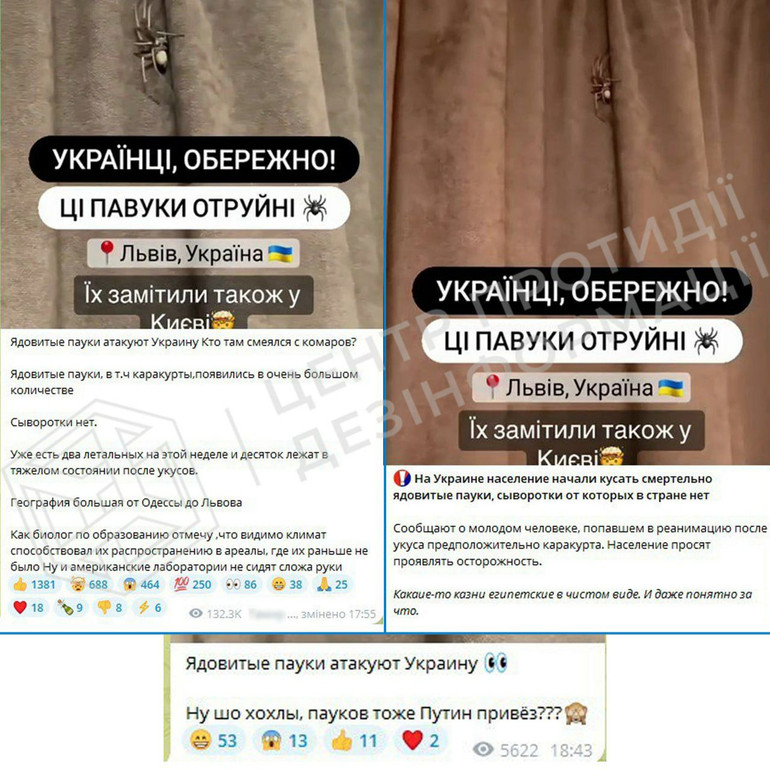 Фейки про павуків