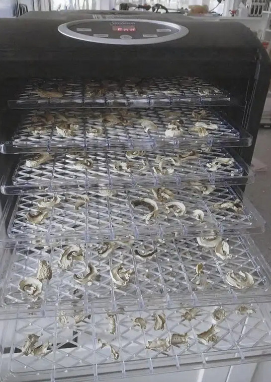 Отруйні гриби