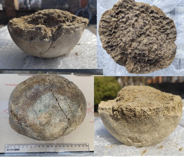 давня кістка