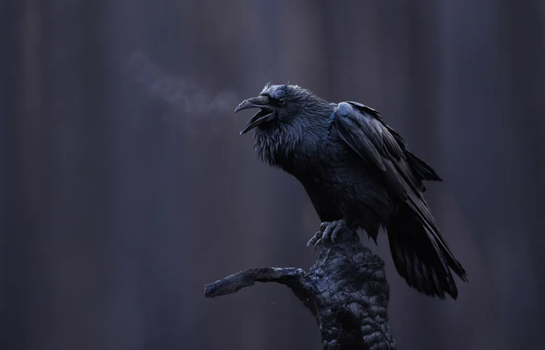 Voice of the Ash Forest