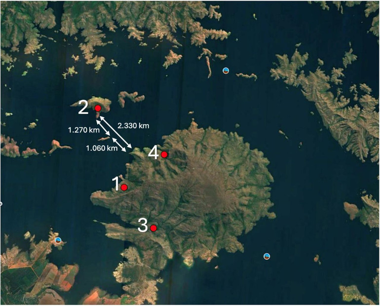Карта місцевості, де знайшли ягуара