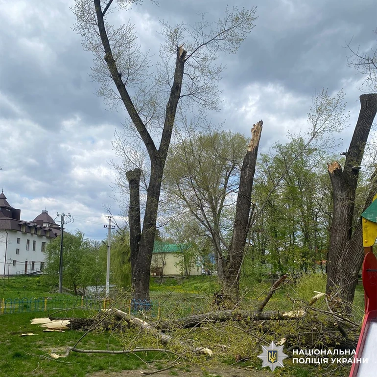 На Буковині дерева впали на дитячий майданчик