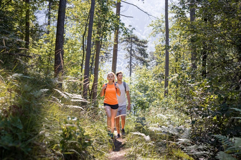 прогулянка у лісі