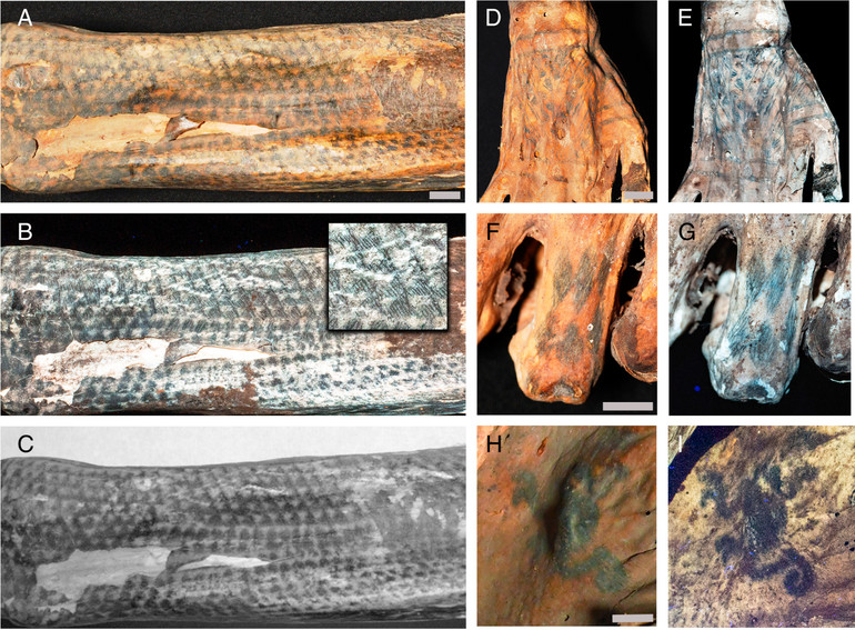 Тату 1200-річних перуанських мумій