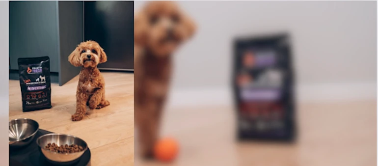 Їжа для собак малих порід та цуценят 4 протеїни Practik Fresh