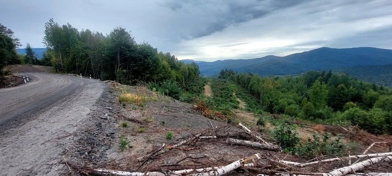 Дорога до полонини Руни