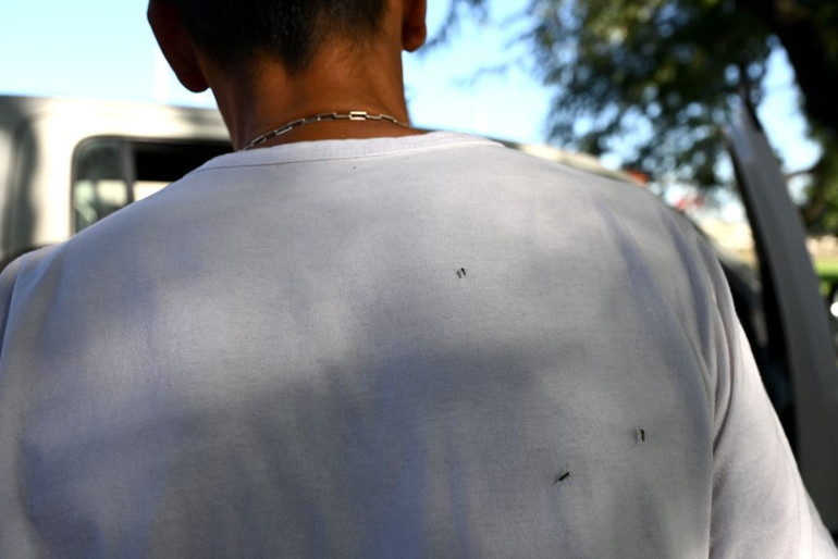 Низка хвороб, зокрема лихоманка Денге та малярія, які передаються через укуси комарів, можуть досягнути регіонів, де їх раніше не було.