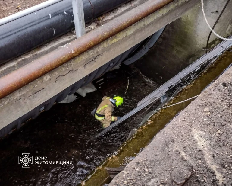 рятувальник