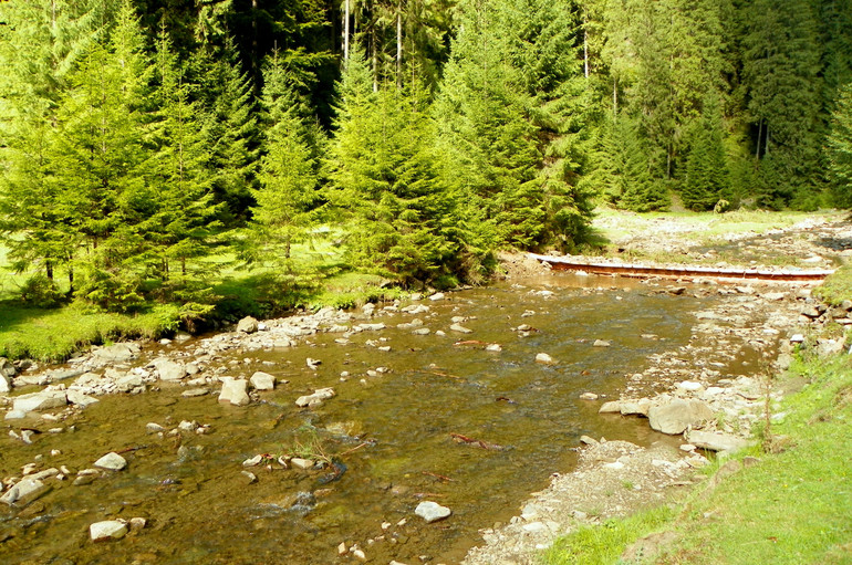 Synevyrska Polyana