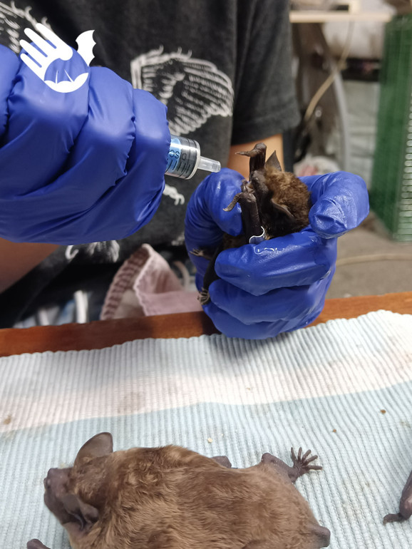 Більшість загинули