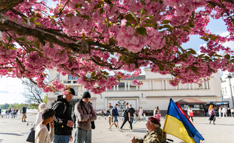 The townspeople in Uzhgorod admire the cherry blossoms