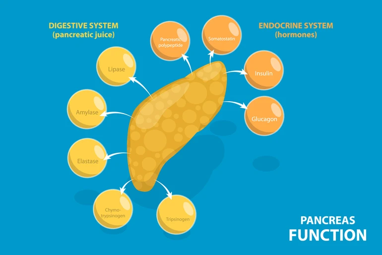 гормони підшлункової
