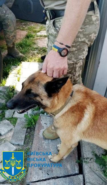 У Києві застрелили собаку ветерана