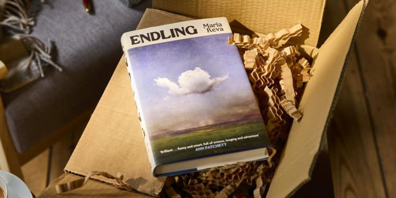 Книга Endling розповідає про трьох жінок, чиє життя змінюється з початком повномасштабного вторгнення.