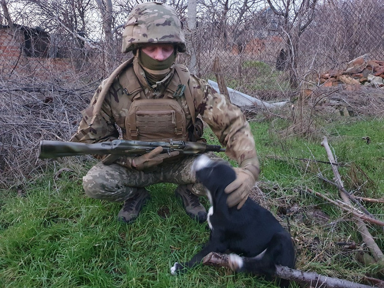 Цитрус і цуцик