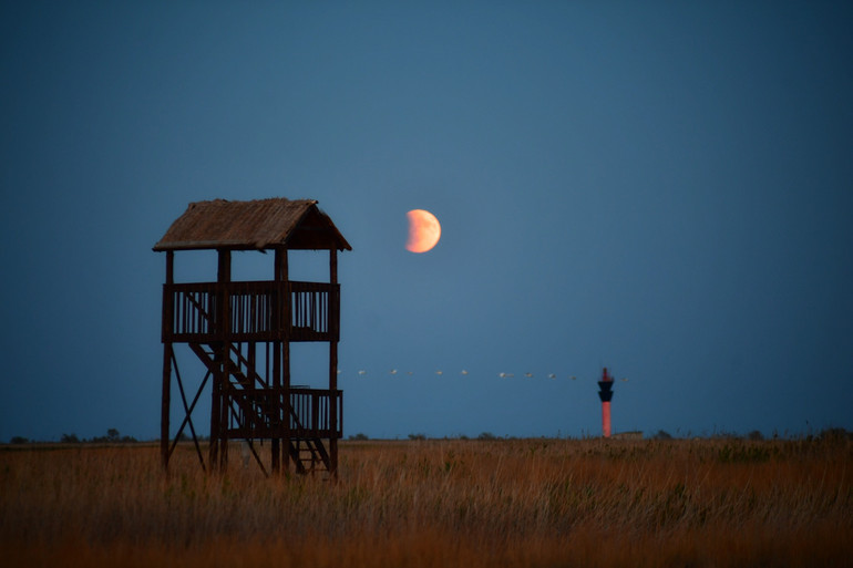 Кривавий Місяць, Одещина