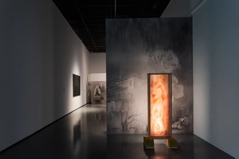 Севіля Наріман-Кизи, -lar