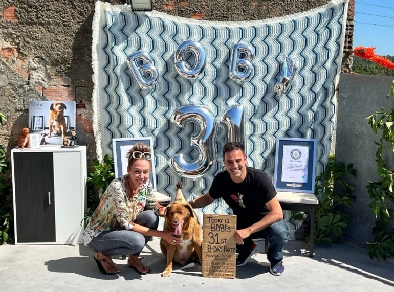 Bobby the dog celebrates his 31st birthday