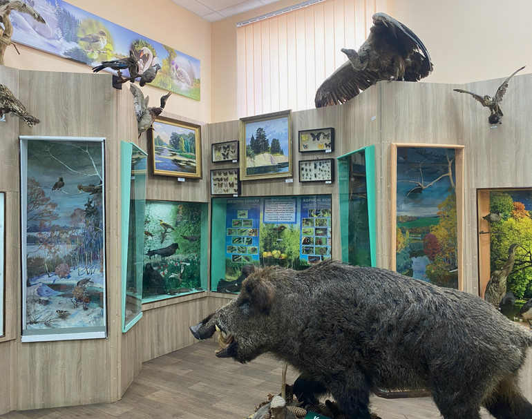 Фото експозиції природничої зали