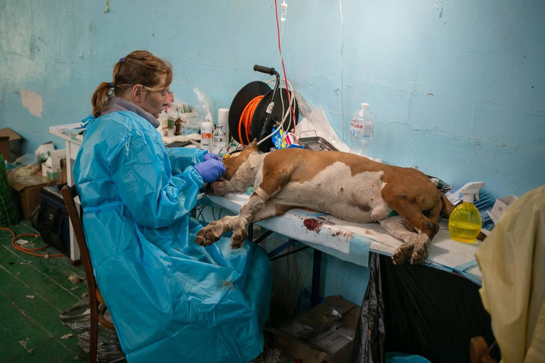 Операції під час ветмісій