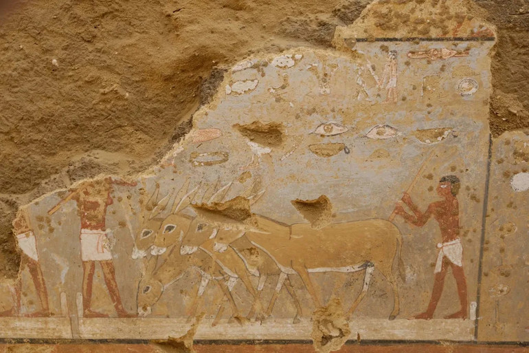 На зображеннях також можна побачити повсякденне життя стародавніх єгиптян і їхніх тварин.