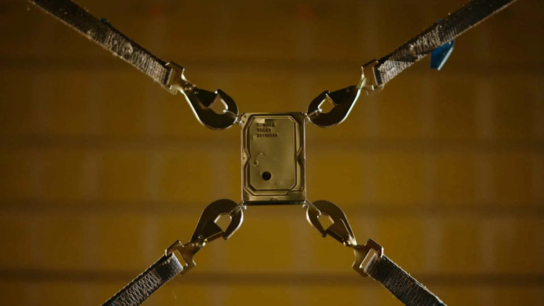 Падаюча тінь мрії на сади Джардіні, 2019.