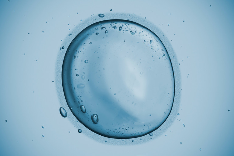 What is female fertility and how to measure it