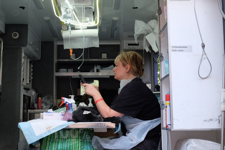 Ветеринарні місії на прифронтові території