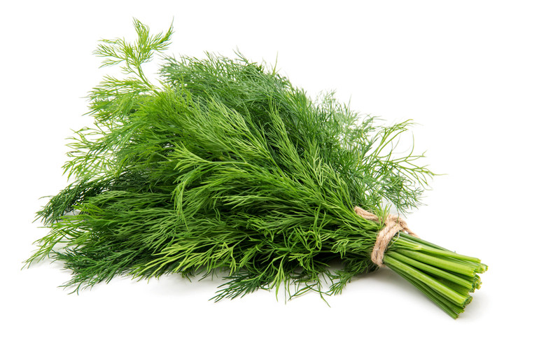 Користь кропу