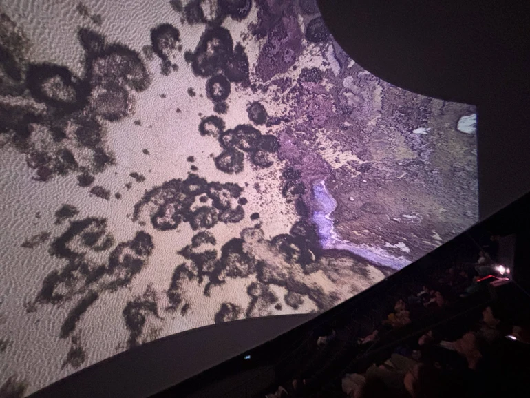 Презентація фільму Дівія