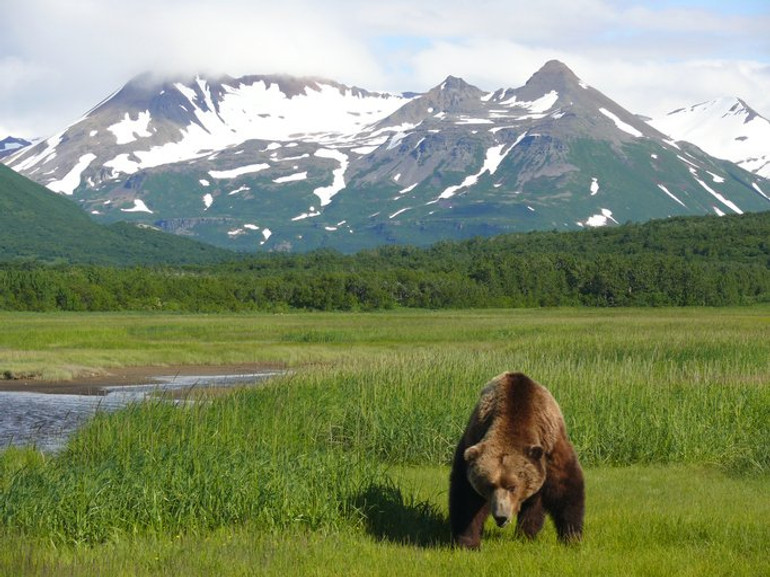 Гори Аляски