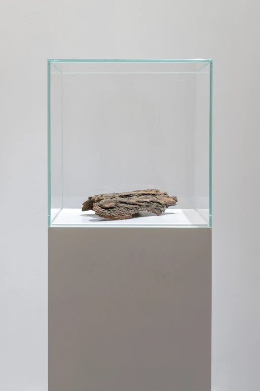 Ірина Лоскот, «Камуфляж», 2024. «Радість», 2026.