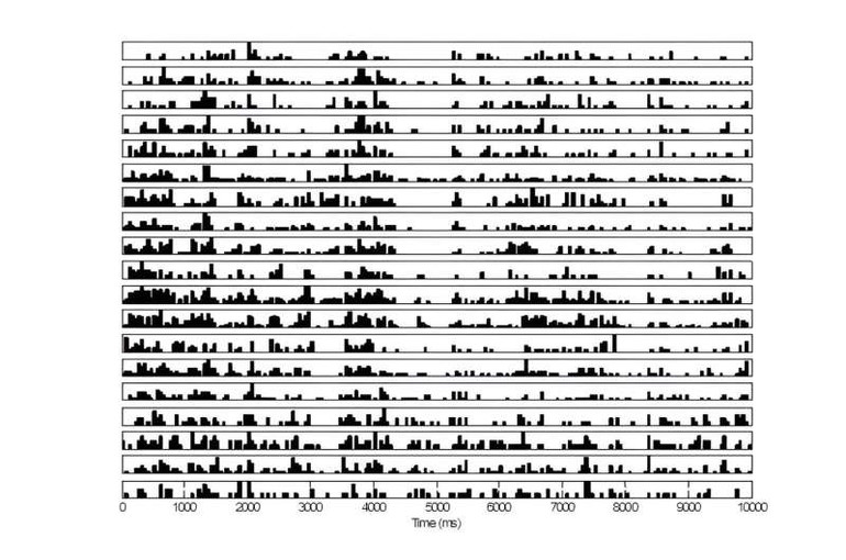 Temporal responses of simultaneously recorded neurons of the visual cortex during the perception of natural images