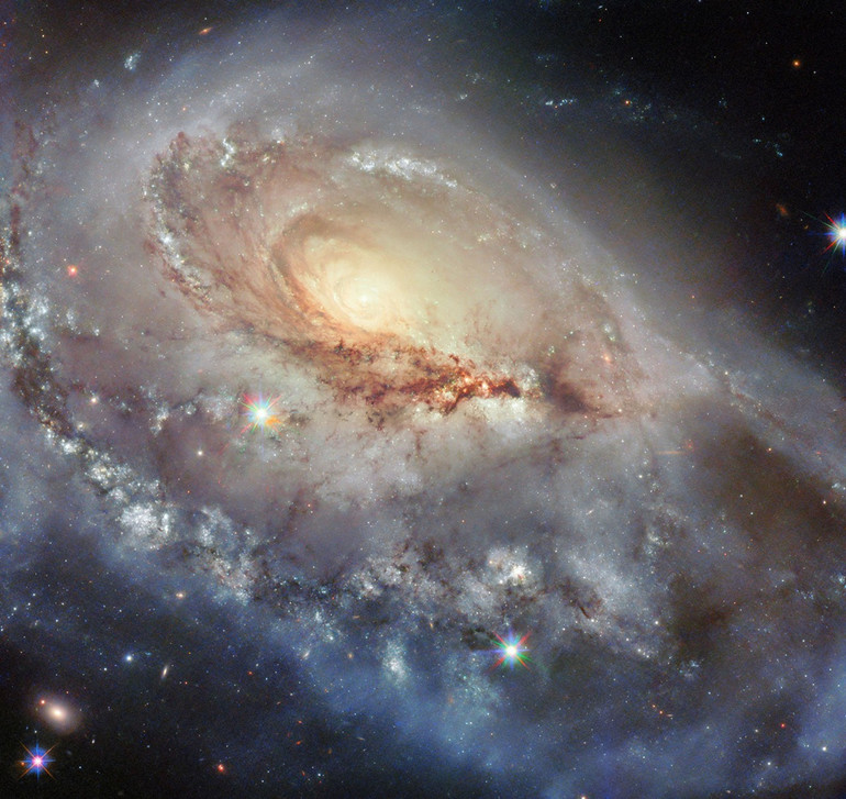 One -sleeve galaxy