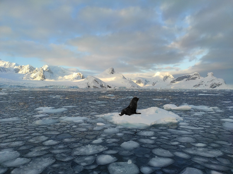 Полярники показали фото з Антарктики