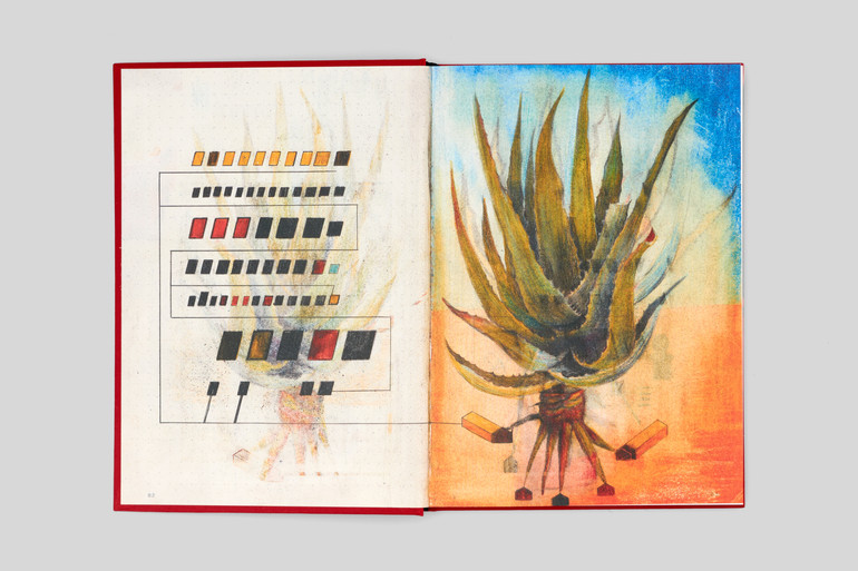 На форзаці артбуку можна побачити алое, яке для Макова насамперед – символ виживання.