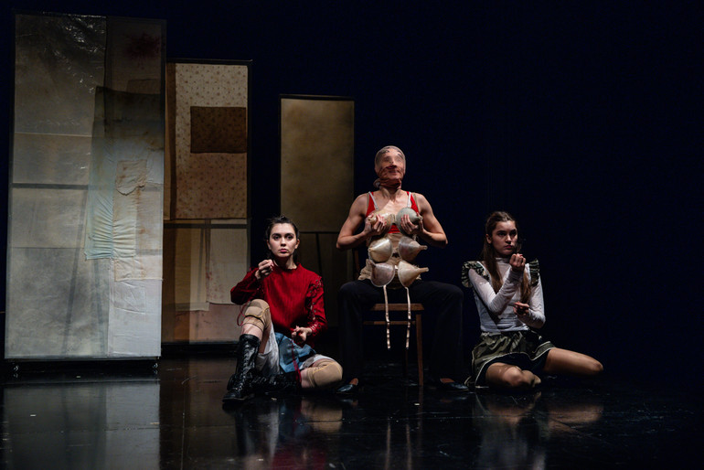 З вистави Місячні