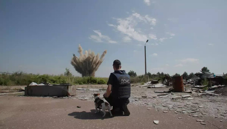 Dog Patron on the set of the film We, our pets and the war