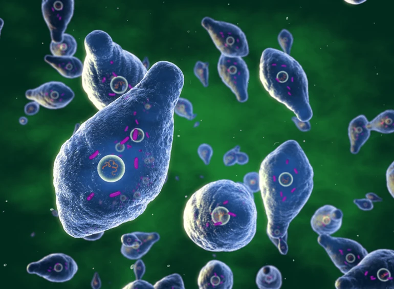 Бактерія Clostridium botulinum