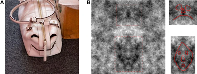 Приклади беззмістовного шуму (чорно-білих плям) та зображень предметів з “обличчями”