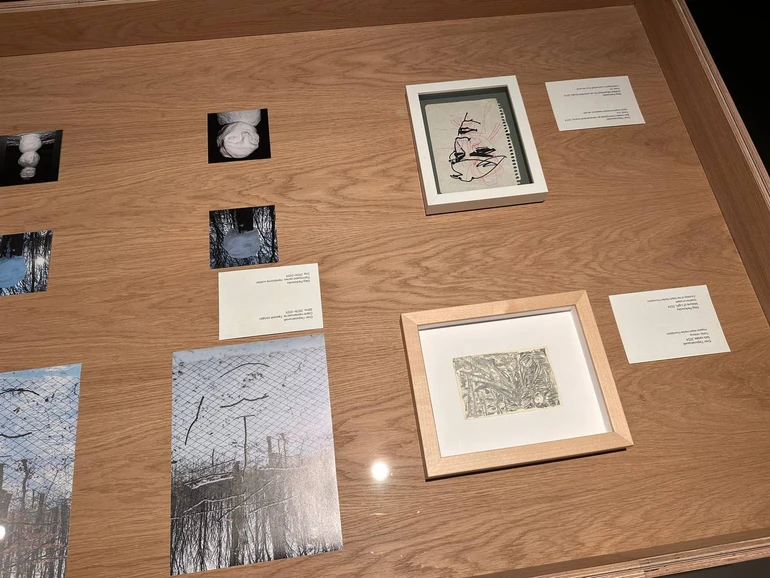 Роботи Олега Перковського