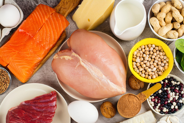 protein standards per day