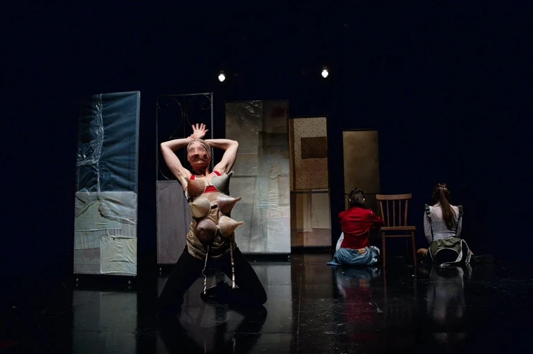 Вистава Місячні