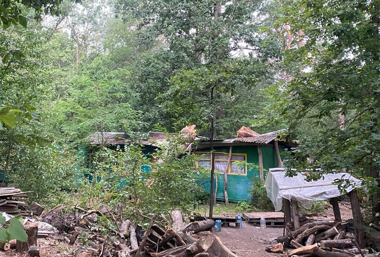Наслідки грози в таборі минулоріч: повалило дерева і пошкодило дах будиночку