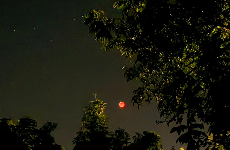 Кривавий Місяць, Вінниччина